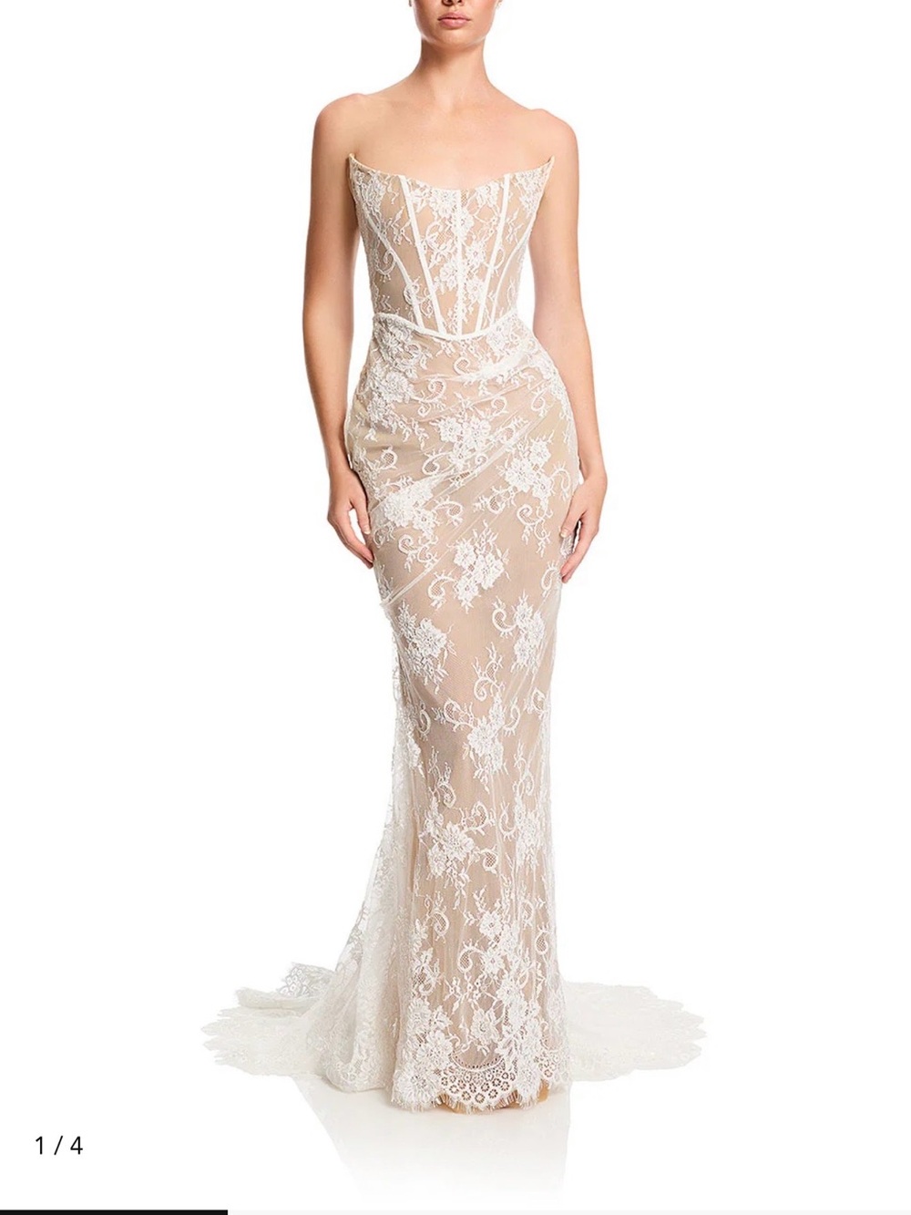 Khya Strapless Nude Lace Column Gown with White Embroidery